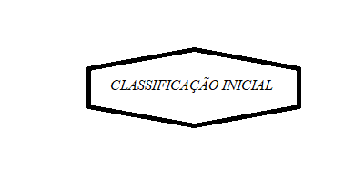 CLASSIFICAÇÃO INICIAL